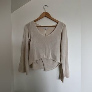 Don’t ask why (Aerie) cropped sweater